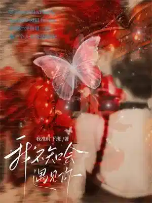 我不知会遇见你