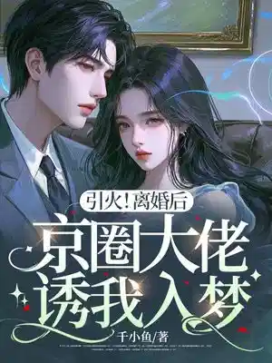 引火！离婚后京圈大佬诱我入梦